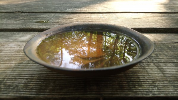 Bol reflets du ciel et foret Laeti